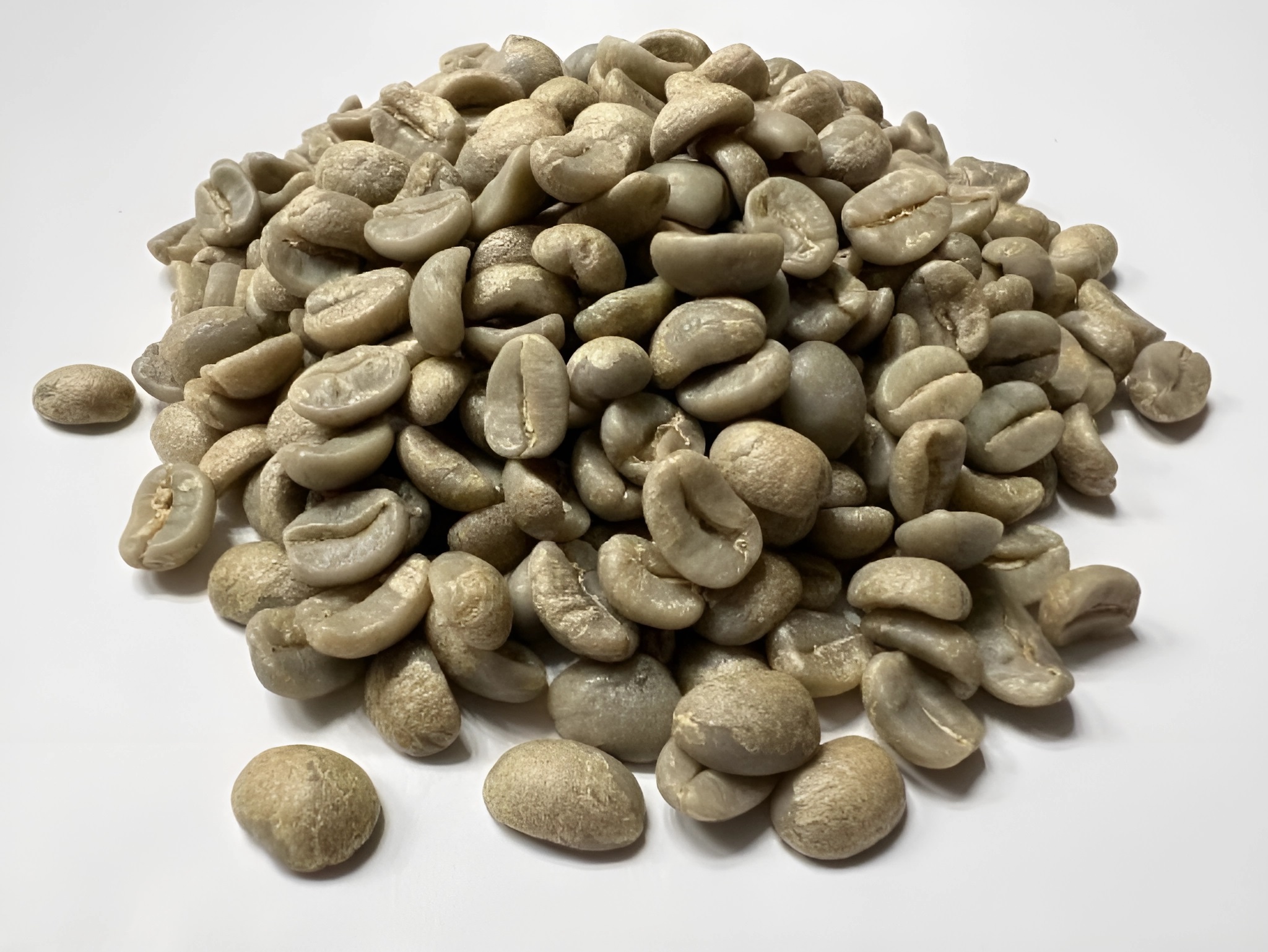 Cung cấp hạt giống cà phê Daklak chế biến đúng kỹ thuật
