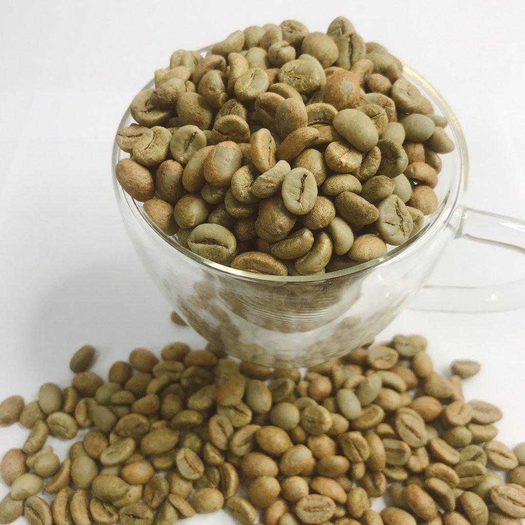 Cách bảo quản hạt giống cà phê không bị sâu bệnh