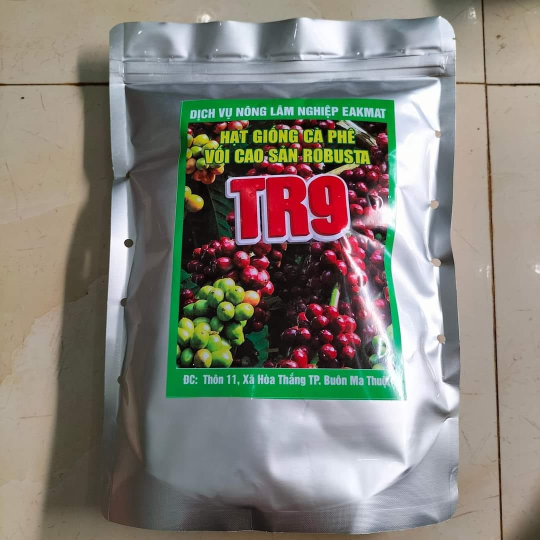 Hạt giống cà phê TR9